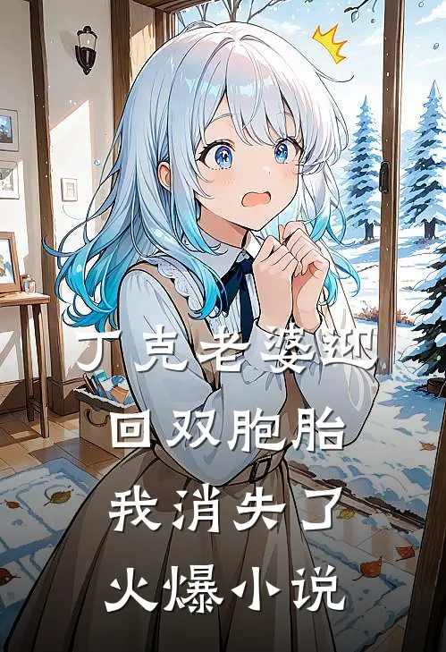 丁克老婆迎回双胞胎，我消失了火爆小说