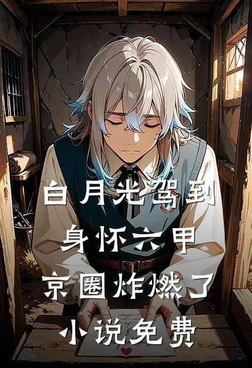 白月光驾到身怀六甲，京圈炸燃了小说免费