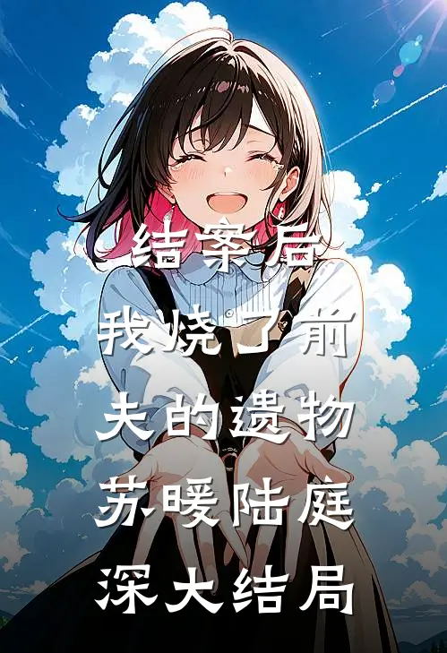 结案后，我烧了前夫的遗物苏暖陆庭深大结局