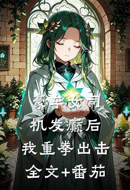 豪车女司机发癫后，我重拳出击全文+番茄