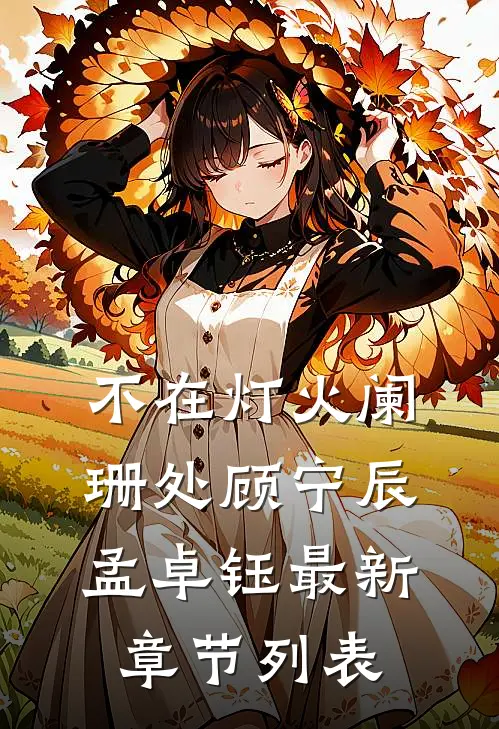 不在灯火阑珊处顾宁辰孟卓钰最新章节列表