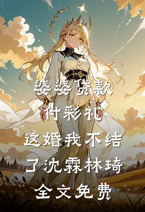 婆婆贷款付彩礼，这婚我不结了沈霖林琦全文免费