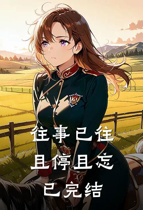 往事已往，且停且忘已完结