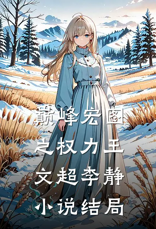 巅峰宏图之权力王文超李静小说结局