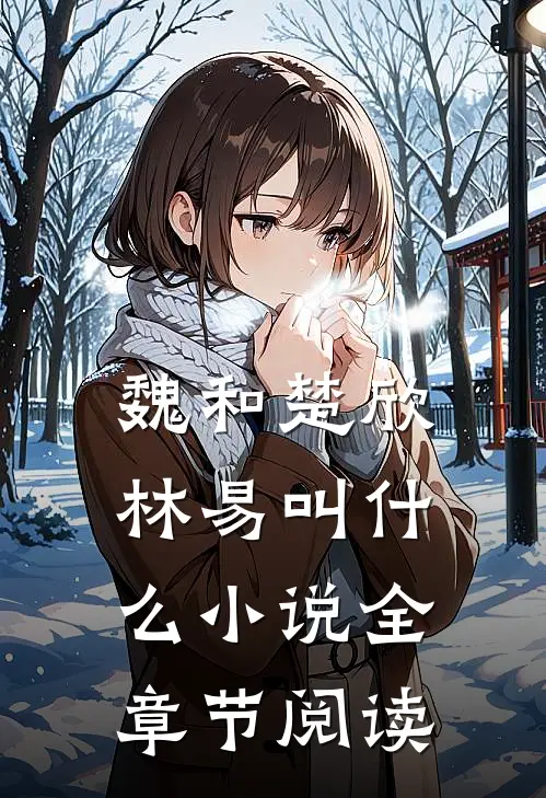 魏和楚欣林易叫什么小说全章节阅读