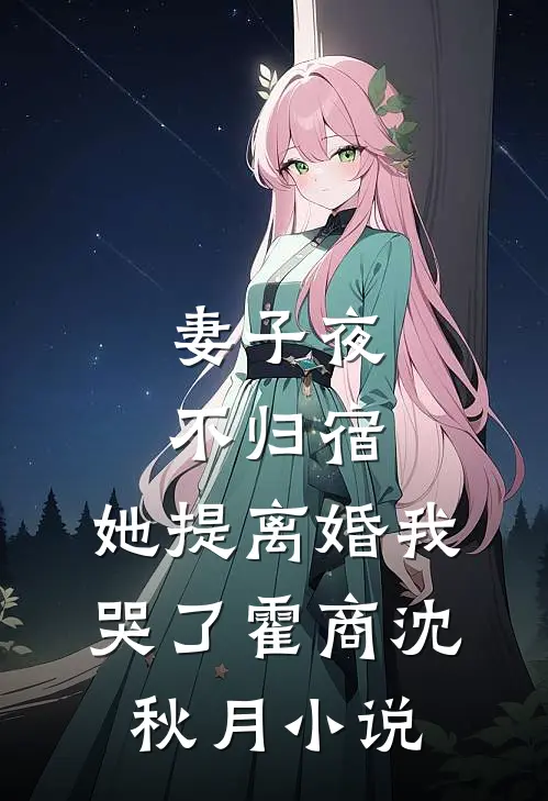 妻子夜不归宿，她提离婚我哭了霍商沈秋月小说