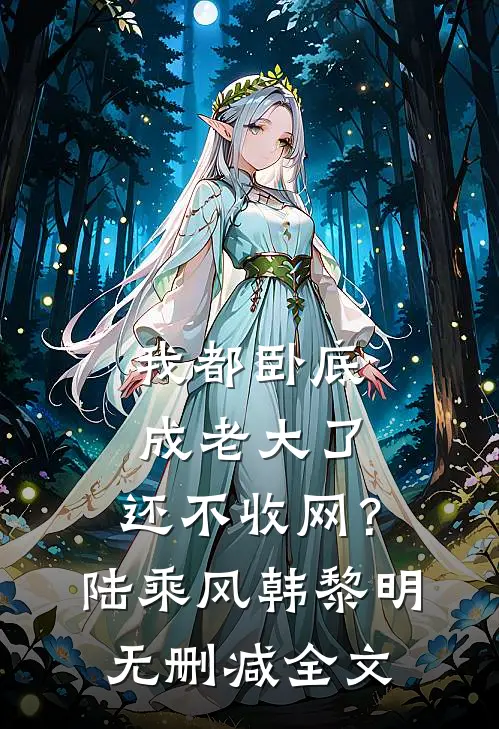 我都卧底成老大了，还不收网？陆乘风韩黎明无删减全文