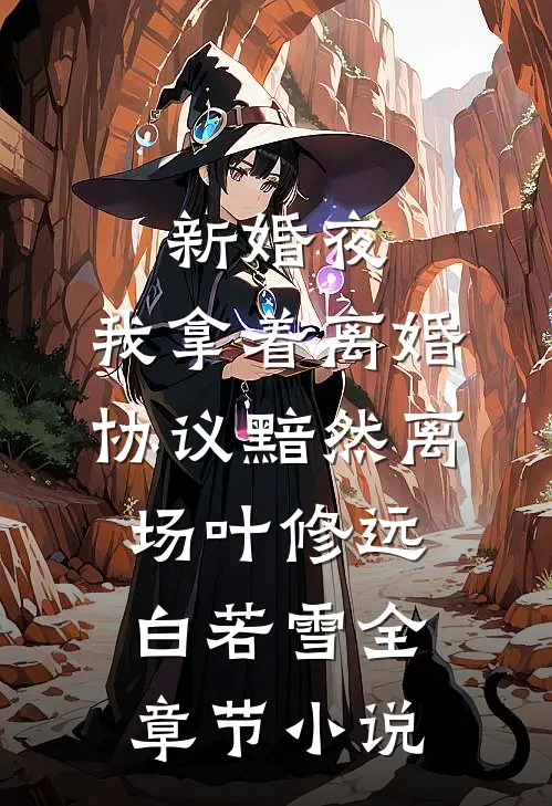 新婚夜，我拿着离婚协议黯然离场叶修远白若雪全章节小说