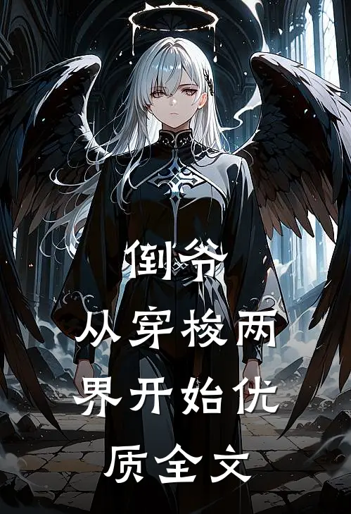 倒爷，从穿梭两界开始优质全文