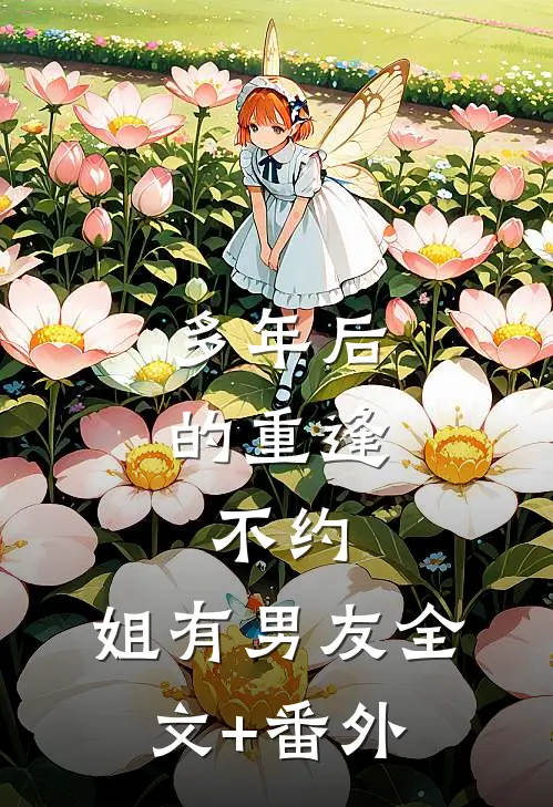 多年后的重逢，不约，姐有男友全文+番外