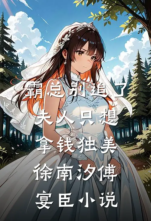 霸总别追了，夫人只想拿钱独美徐南汐傅宴臣小说