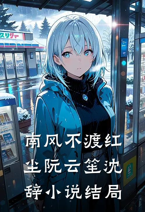 南风不渡红尘阮云笙沈辞小说结局