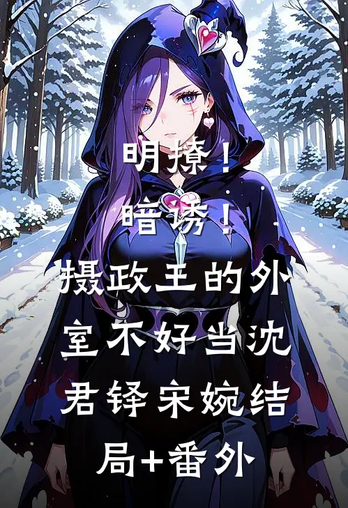 明撩！暗诱！摄政王的外室不好当沈君铎宋婉结局+番外