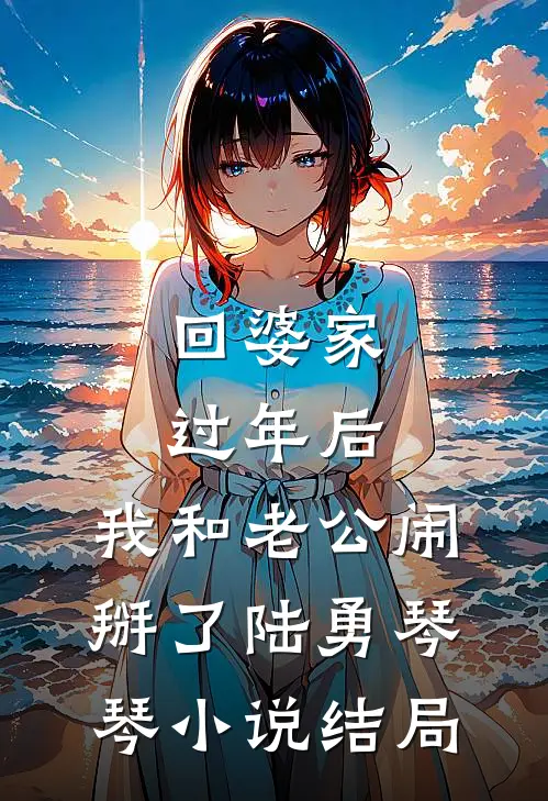 回婆家过年后，我和老公闹掰了陆勇琴琴小说结局