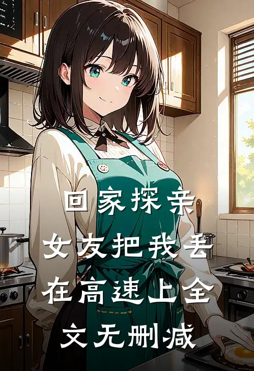 回家探亲，女友把我丢在高速上全文无删减