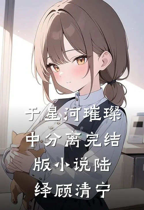 于星河璀璨中分离完结版小说陆绎顾清宁