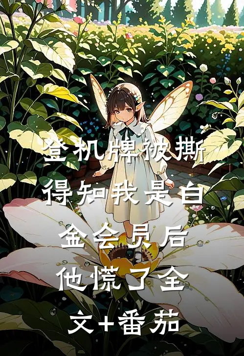 登机牌被撕，得知我是白金会员后他慌了全文+番茄