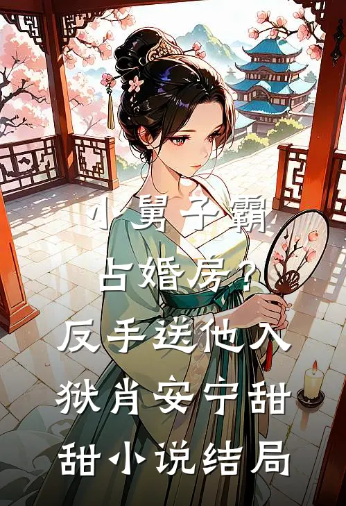 小舅子霸占婚房？反手送他入狱肖安宁甜甜小说结局