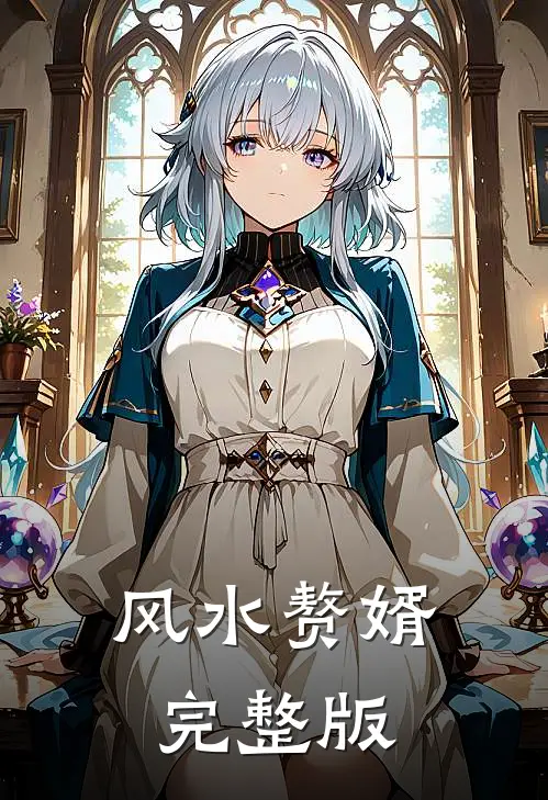 风水赘婿完整版