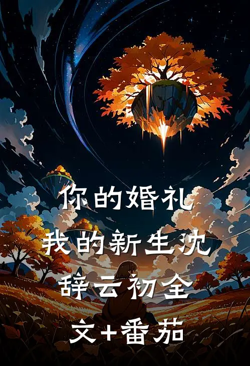 你的婚礼，我的新生沈辞云初全文+番茄