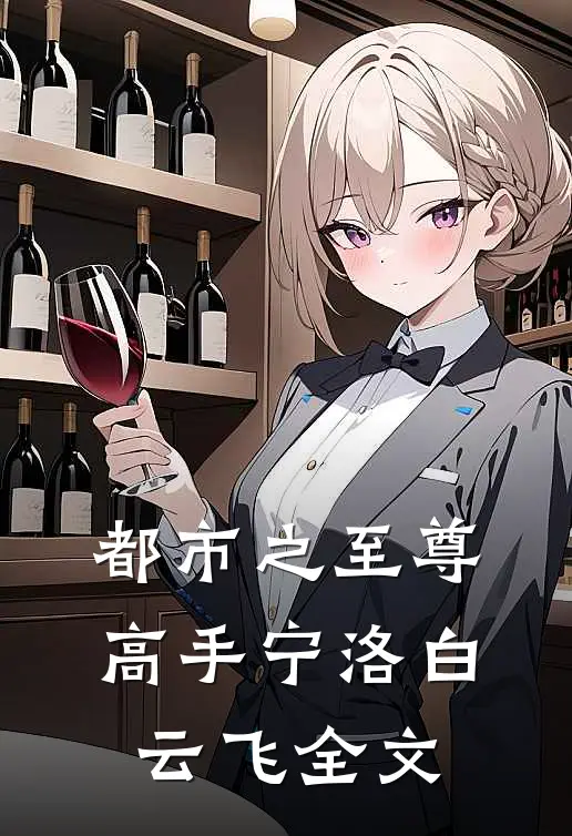 都市之至尊高手宁洛白云飞全文
