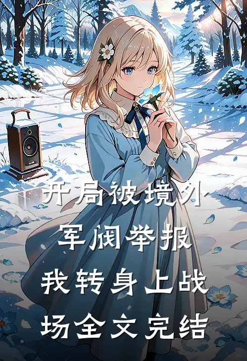 开局被境外军阀举报，我转身上战场全文完结