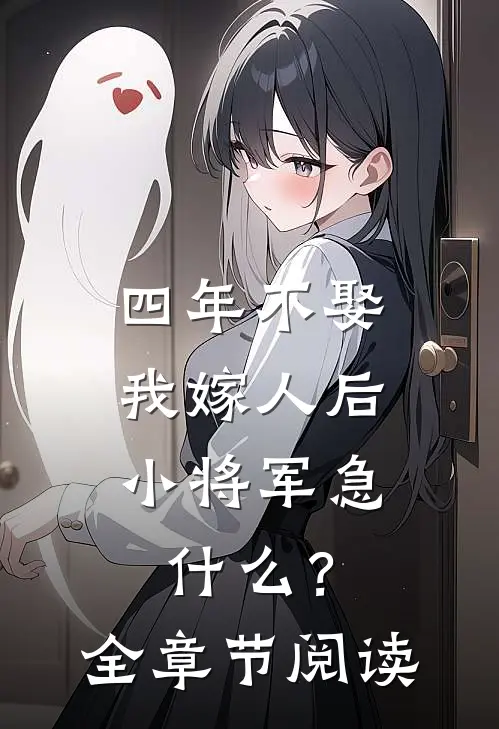 四年不娶，我嫁人后小将军急什么？全章节阅读