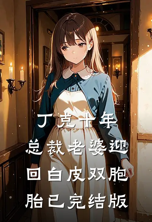丁克十年，总裁老婆迎回白皮双胞胎已完结版