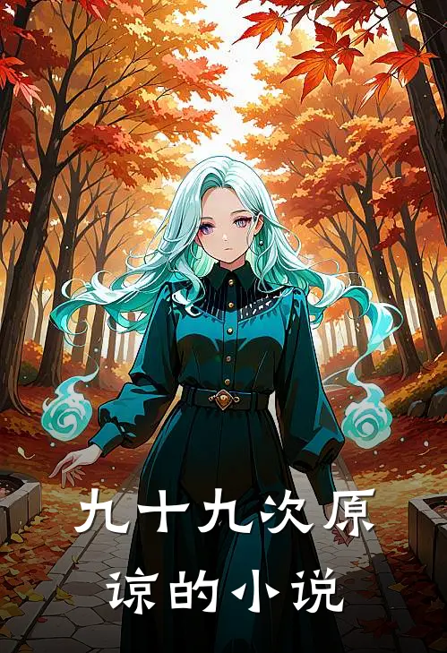 九十九次原谅的小说