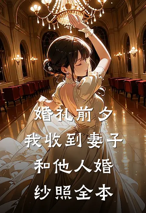 婚礼前夕，我收到妻子和他人婚纱照全本