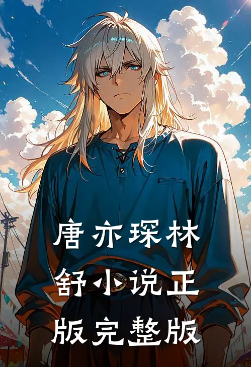 唐亦琛林舒小说正版完整版