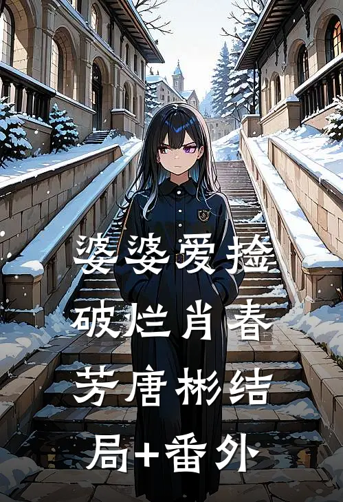婆婆爱捡破烂肖春芳唐彬结局+番外