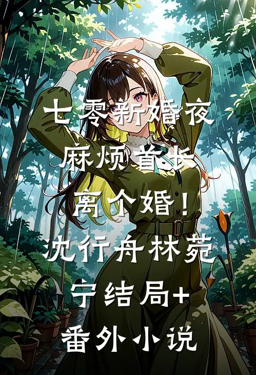 七零新婚夜，麻烦首长离个婚！沈行舟林菀宁结局+番外小说