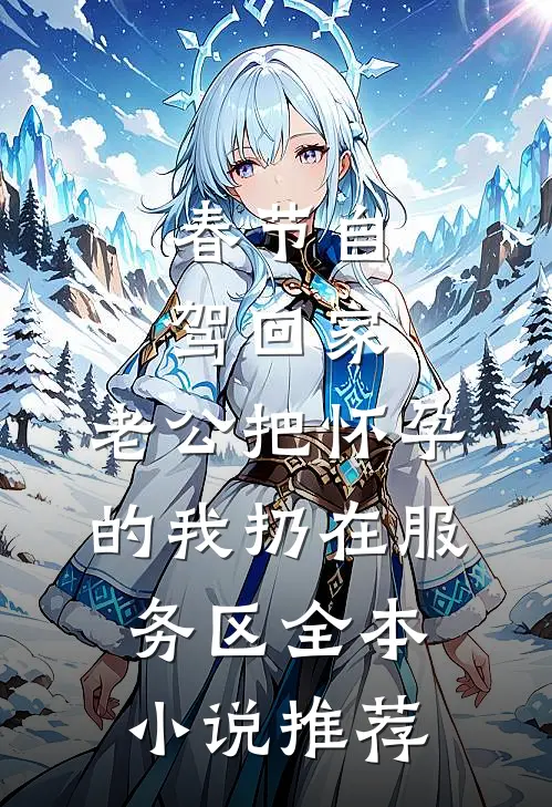 春节自驾回家，老公把怀孕的我扔在服务区全本小说推荐