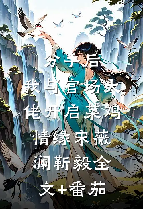 分手后，我与官场大佬开启菜鸡情缘宋薇澜靳毅全文+番茄