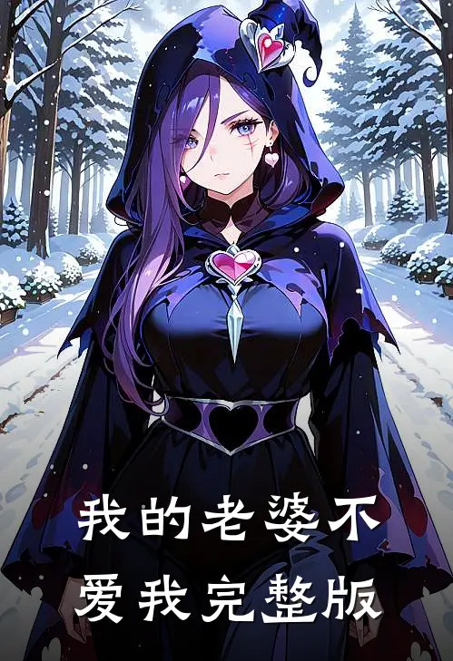 我的老婆不爱我完整版