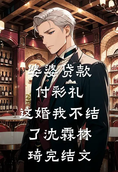 婆婆贷款付彩礼，这婚我不结了沈霖林琦完结文